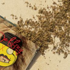 Drug header 230x230