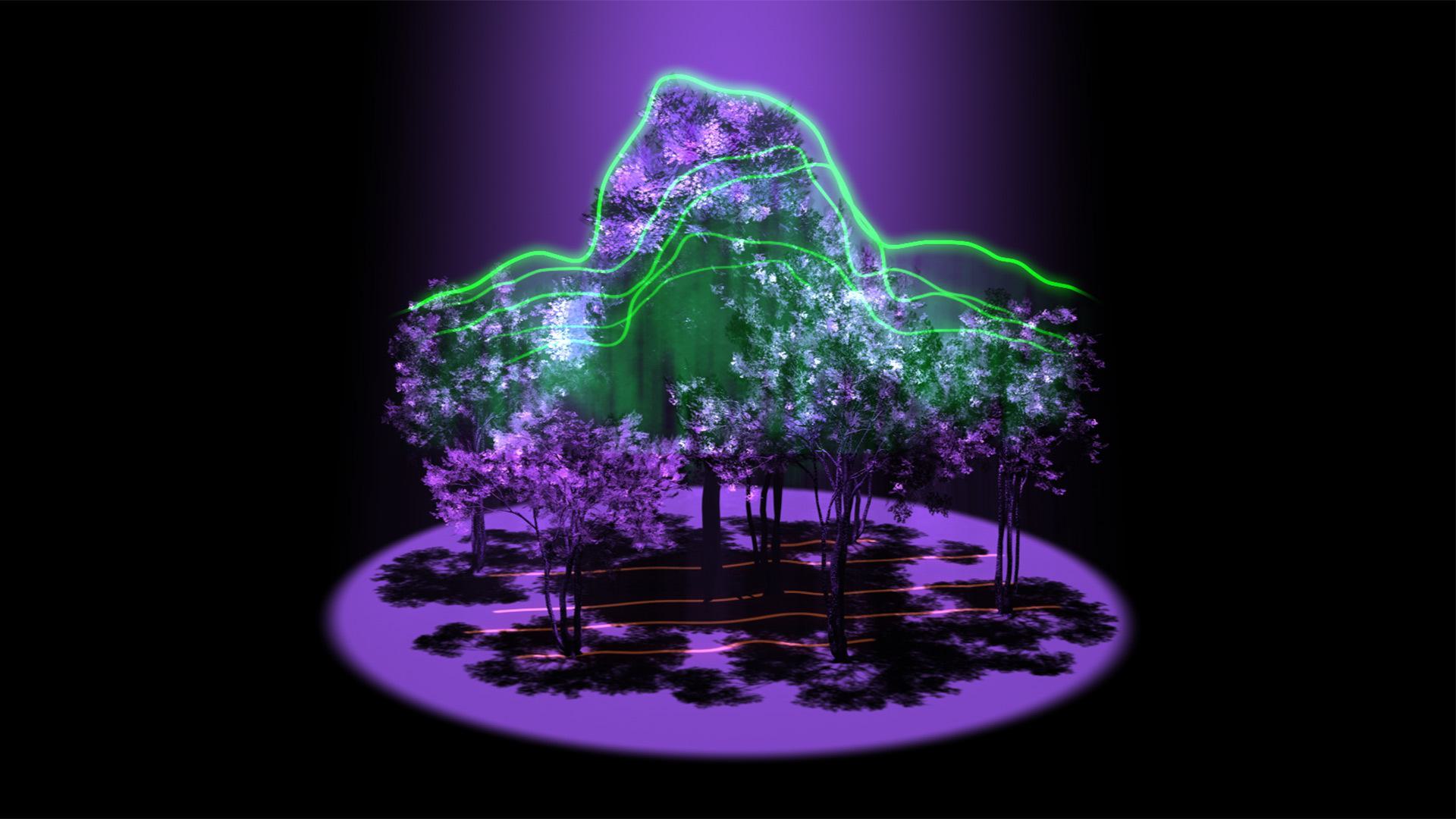 Earth sci lidar 01 left frames 000081