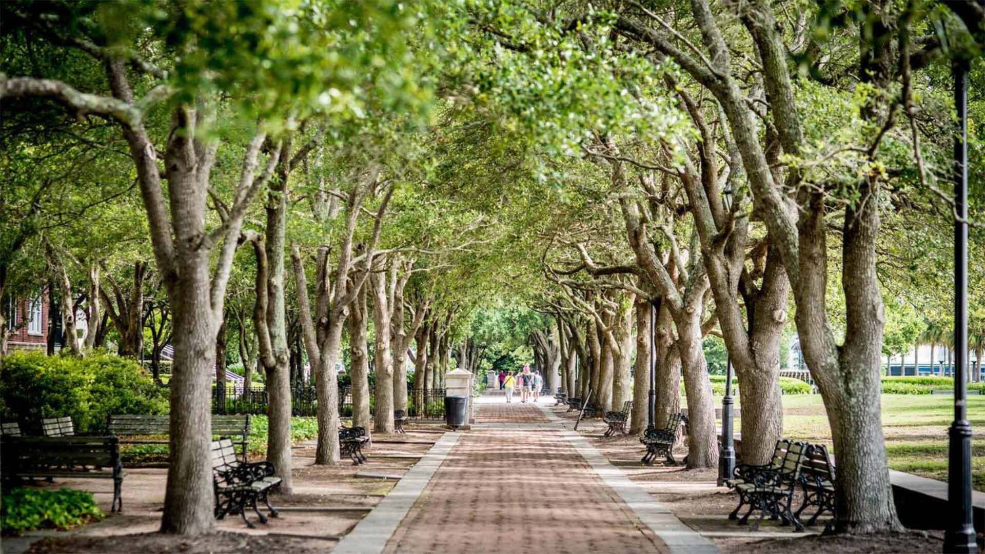 Greenspace 1920x1080