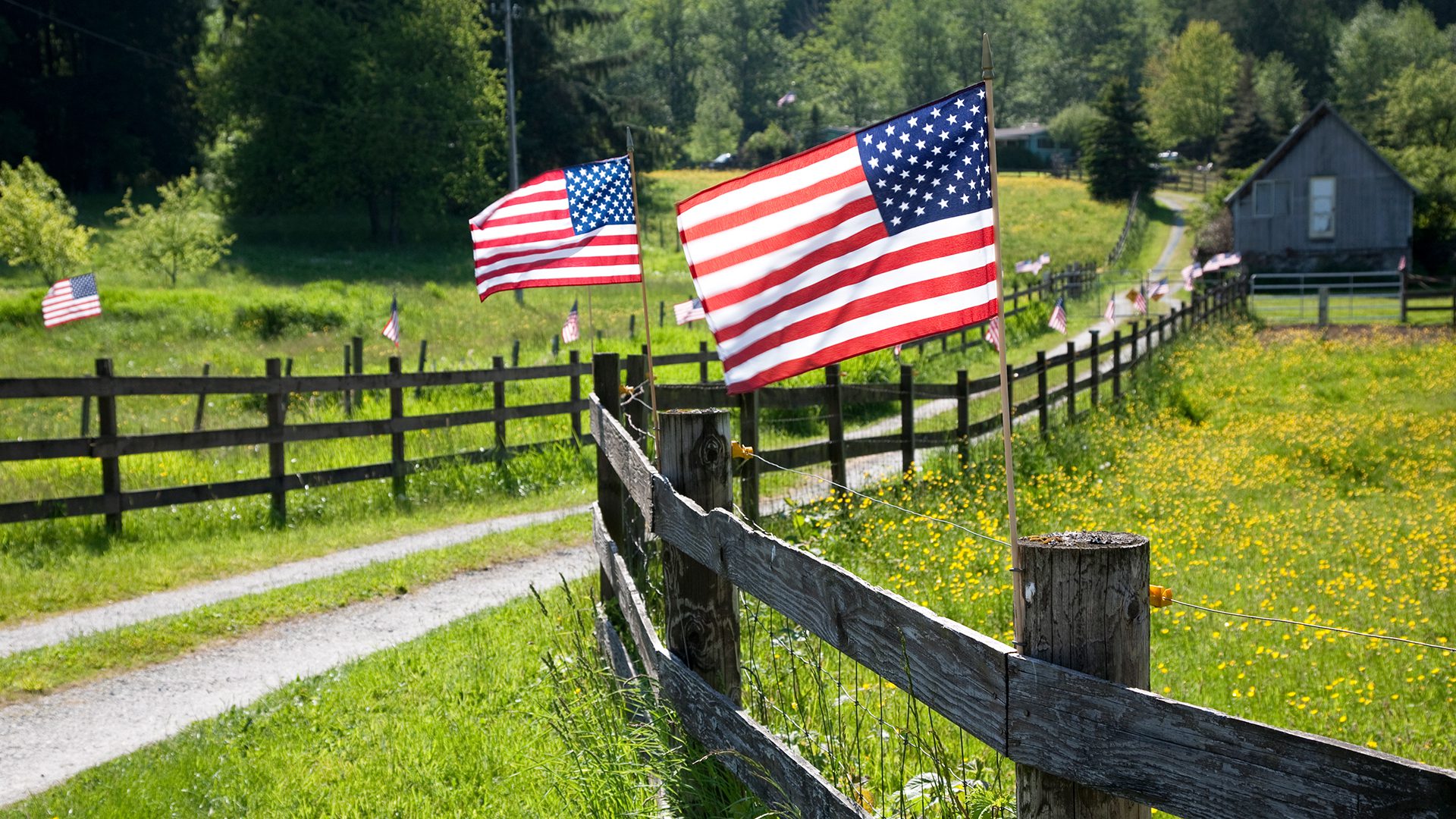 I Stock 154932584 1920x1080