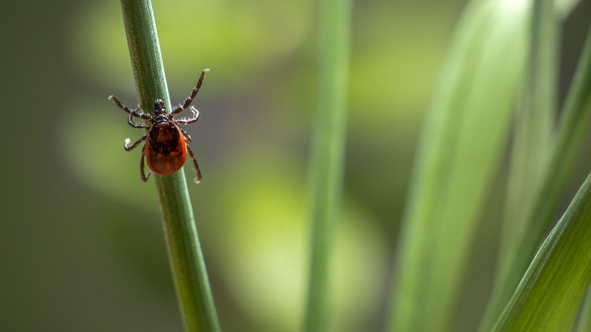 Pexels erik karits 4564961 1920x1080