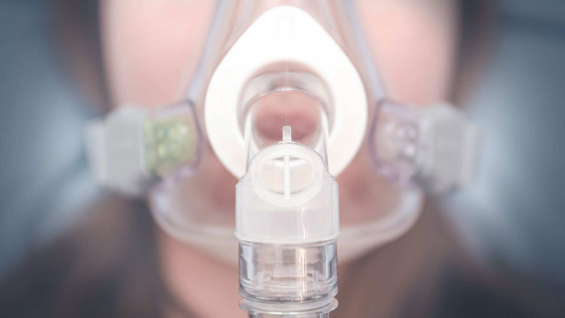 Shutterstock 1716557026