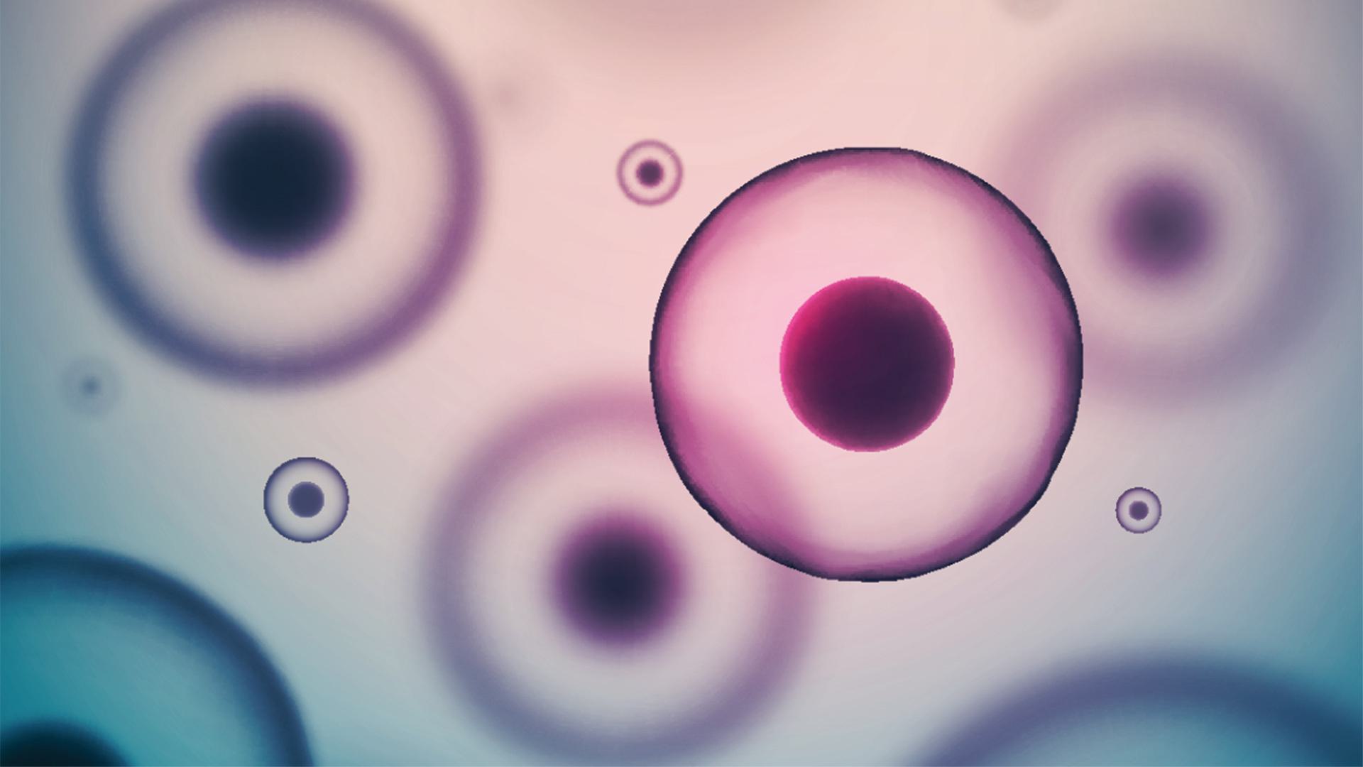 Shutterstock 237972814 1920x1080