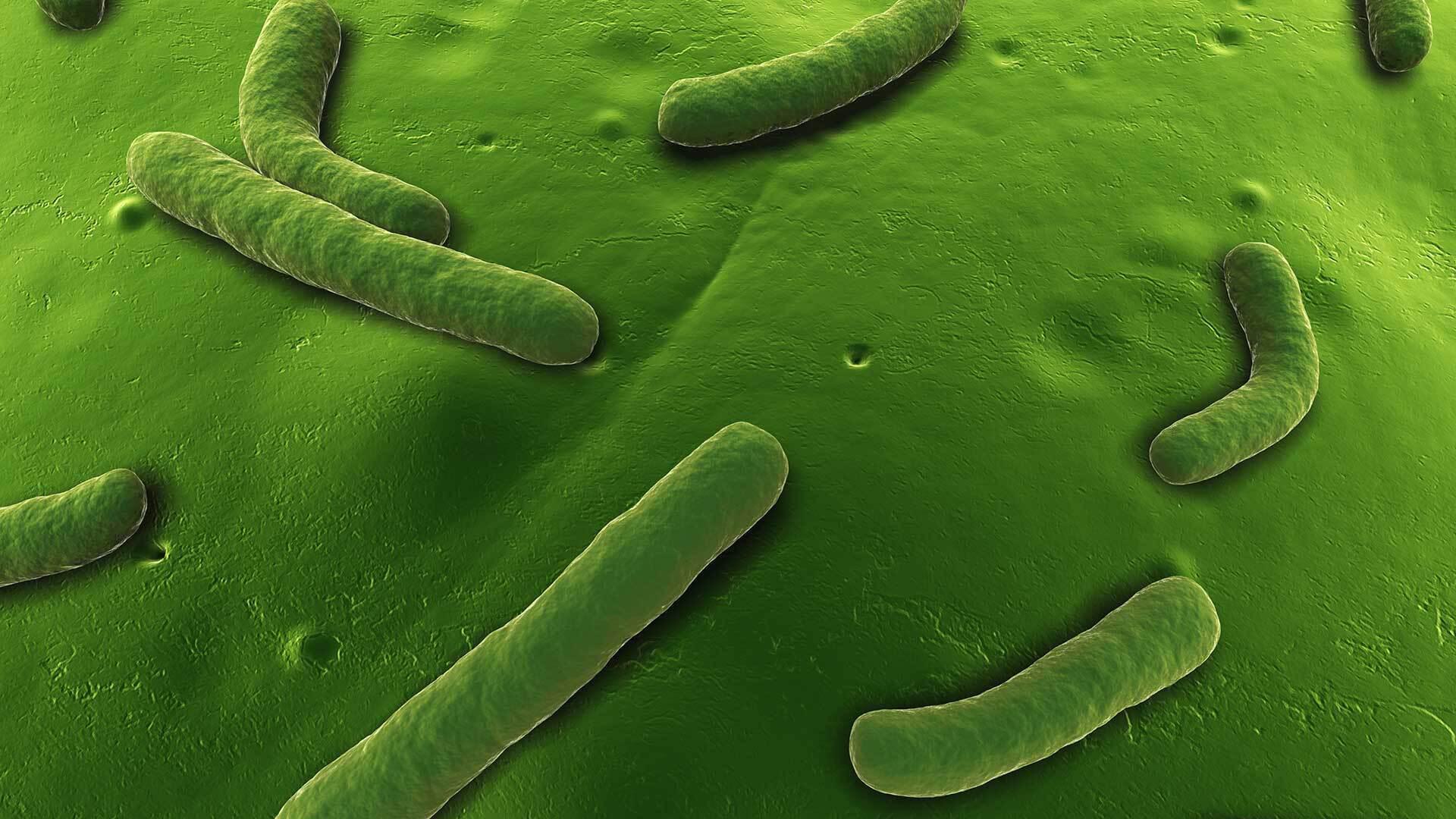 Shutterstock 41503822 1920x1080