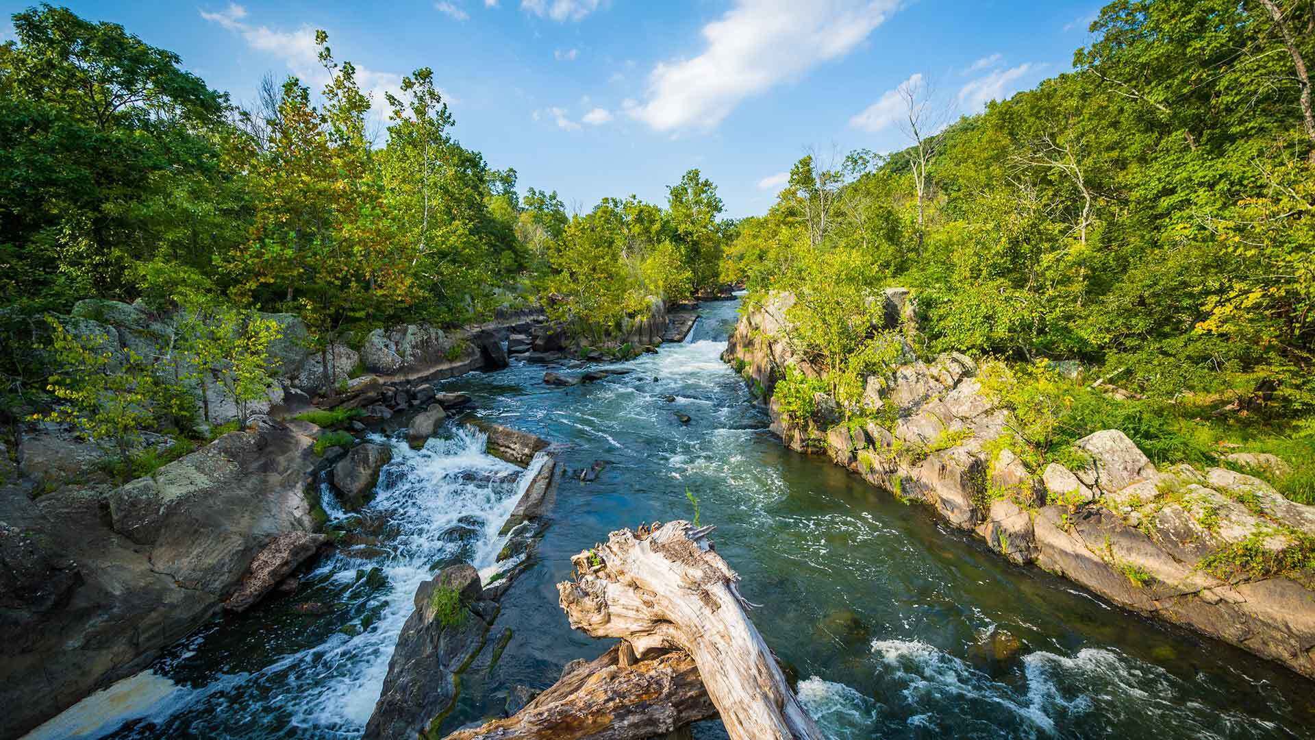 Shutterstock 483241345 1920x1080