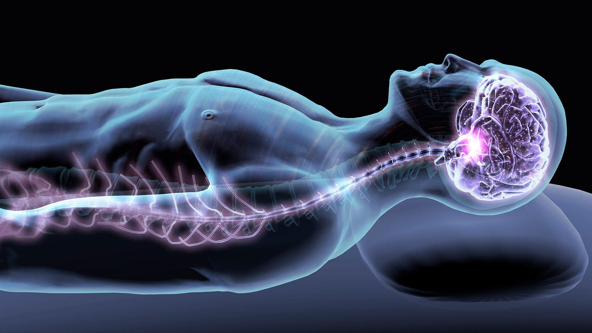 Spine i Stock 904902642 1920x1080