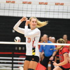 Terptues 2x 15 230x230