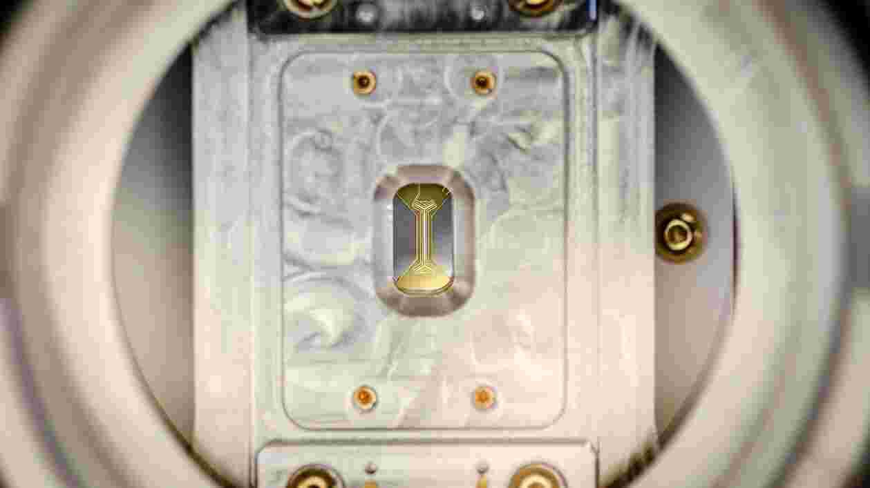 001 Trap Mounted 1920x1080 Thumbnail