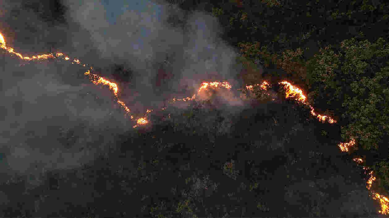 24204798774492 Brazil forestfire AP 1920x1080 Thumbnail