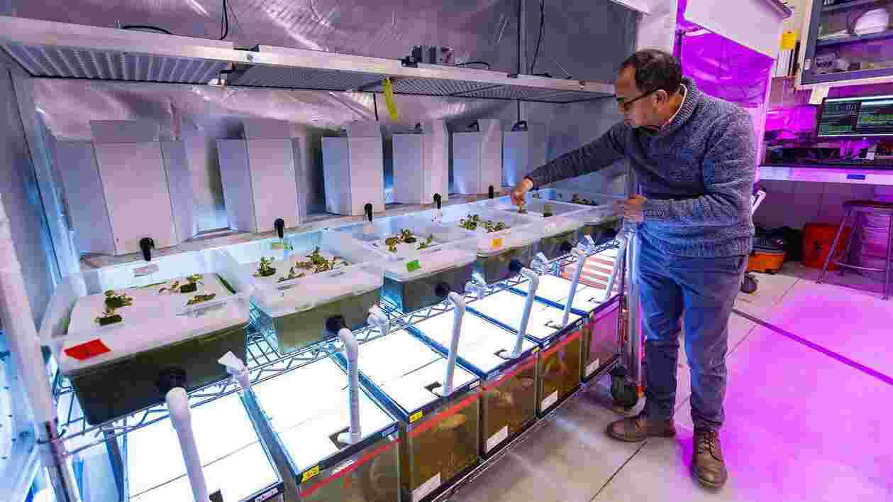 Aquaponics Lab Jose Luis Izursa 01232024 JC 7494 1920x1080 1 Thumbnail