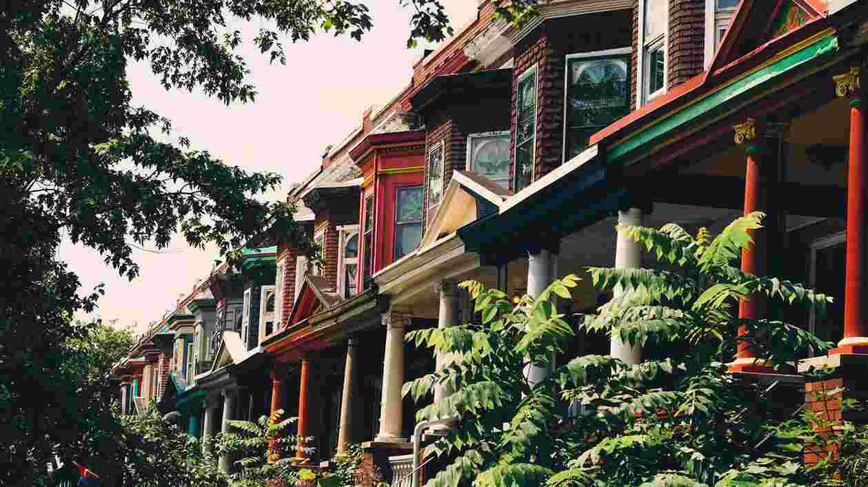 Baltimore Treesi Stock 1126241262 Thumbnail