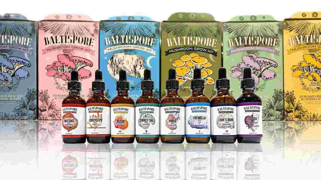 Baltispore FB 1920x1080 Thumbnail
