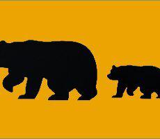 Bears Thumbnail NOSIGN 230x200 Thumbnail
