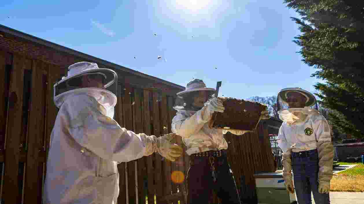 Beekeeping Club 03272025 DS 8723 1920x1080 Thumbnail
