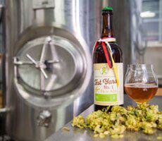 Beer Thumbnail No SIGN2 230x200 Thumbnail