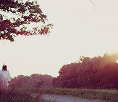 Bees Terp Tuesday final NO BANNER 230x200 Thumbnail