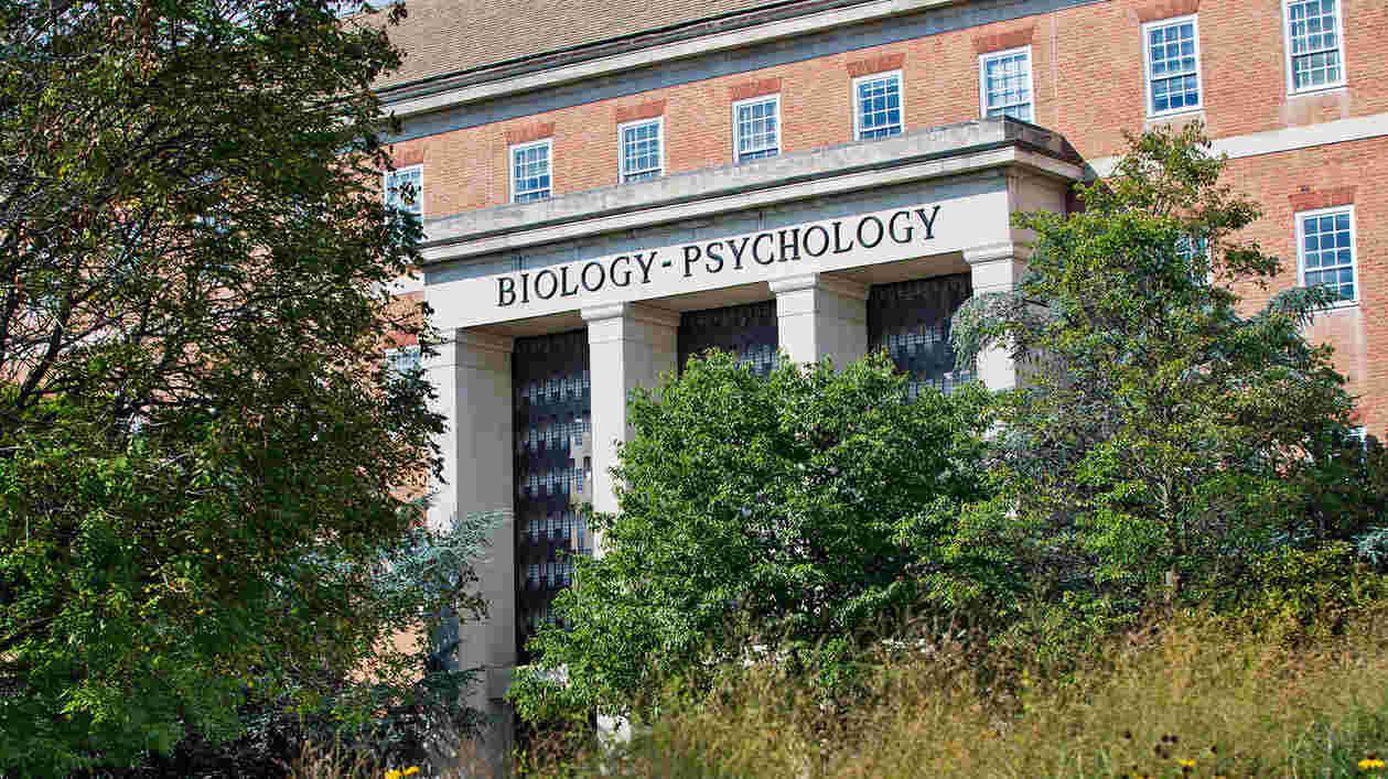 Bio Psych Students 10042016 6901 1920x1080 Thumbnail