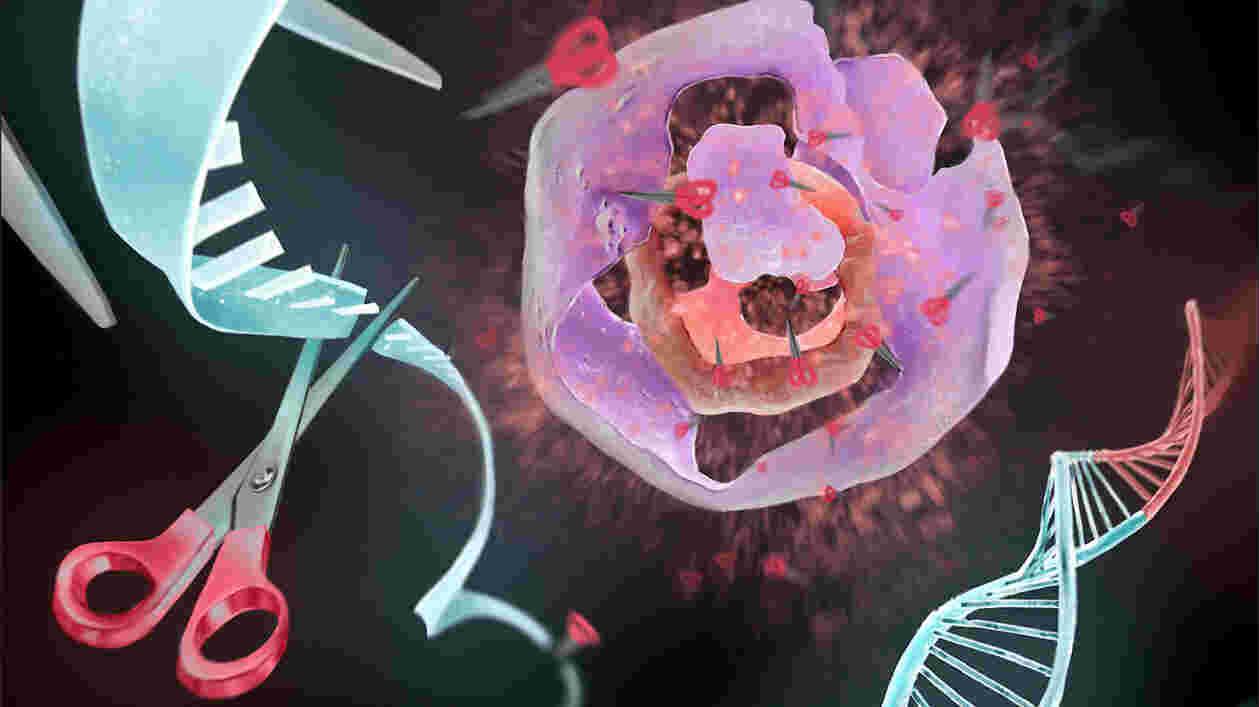 Breast Cancer Research 1920x1080 Thumbnail