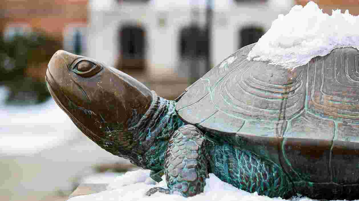 Campus Snow 02032021 JC 9940 1920x1080 Thumbnail
