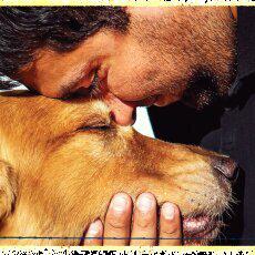Canine Connection2 230x230 Thumbnail