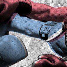 Congress Thumbnail NOSIGN 230x230 Thumbnail