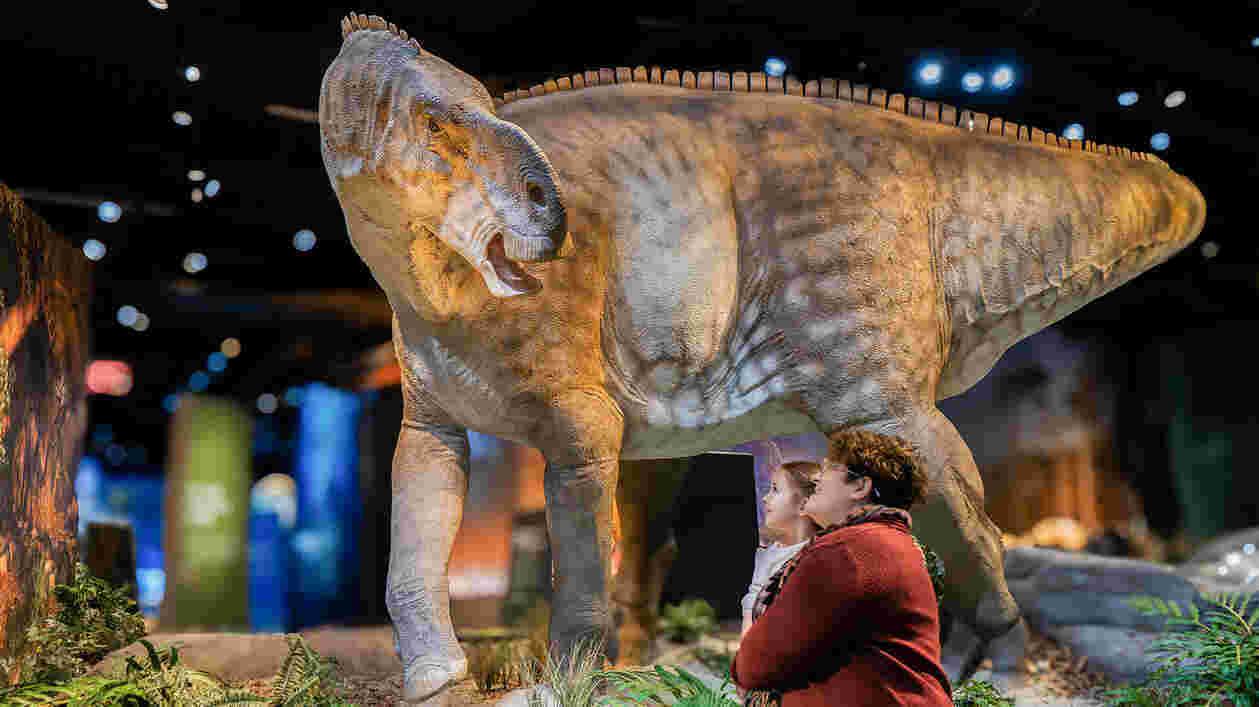 Courtesy of Edelman Fossil Park Museum of Rowan University 1920x1080 Thumbnail