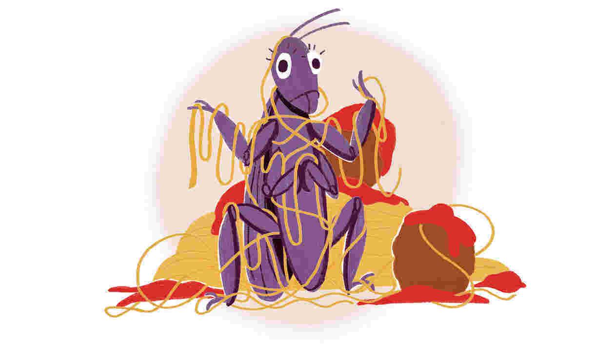 Cricket Spaghetti 1920x1080 1 Thumbnail