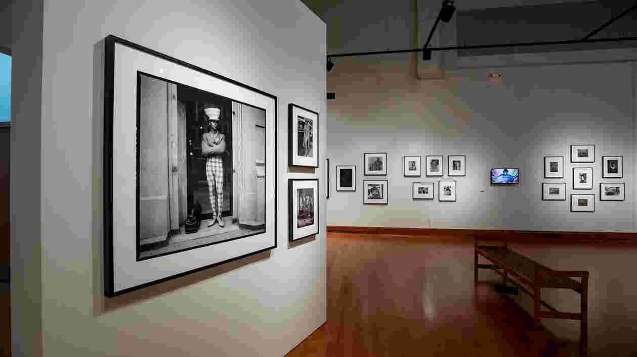 Driskell Center Posing Beauty SC 02012019 4225 1920x1080 Thumbnail