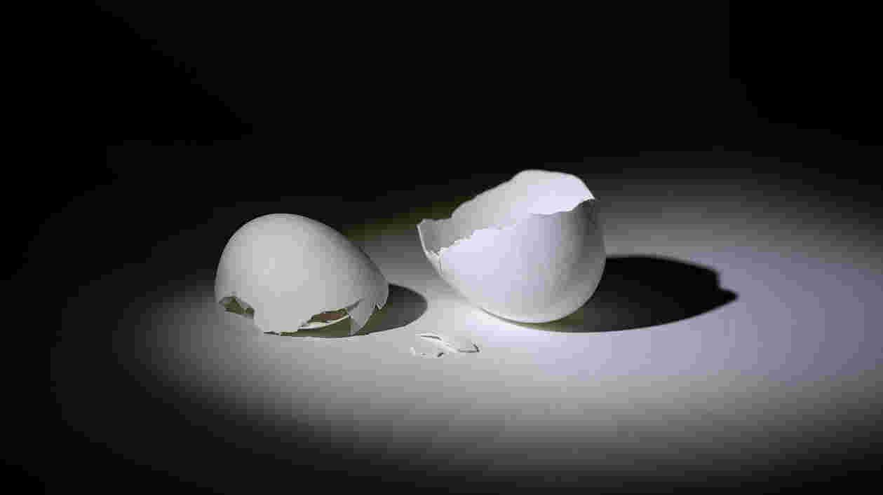 Eggs Avian Flu TERP SC 03032025 SC 4699 1920x1080 Thumbnail