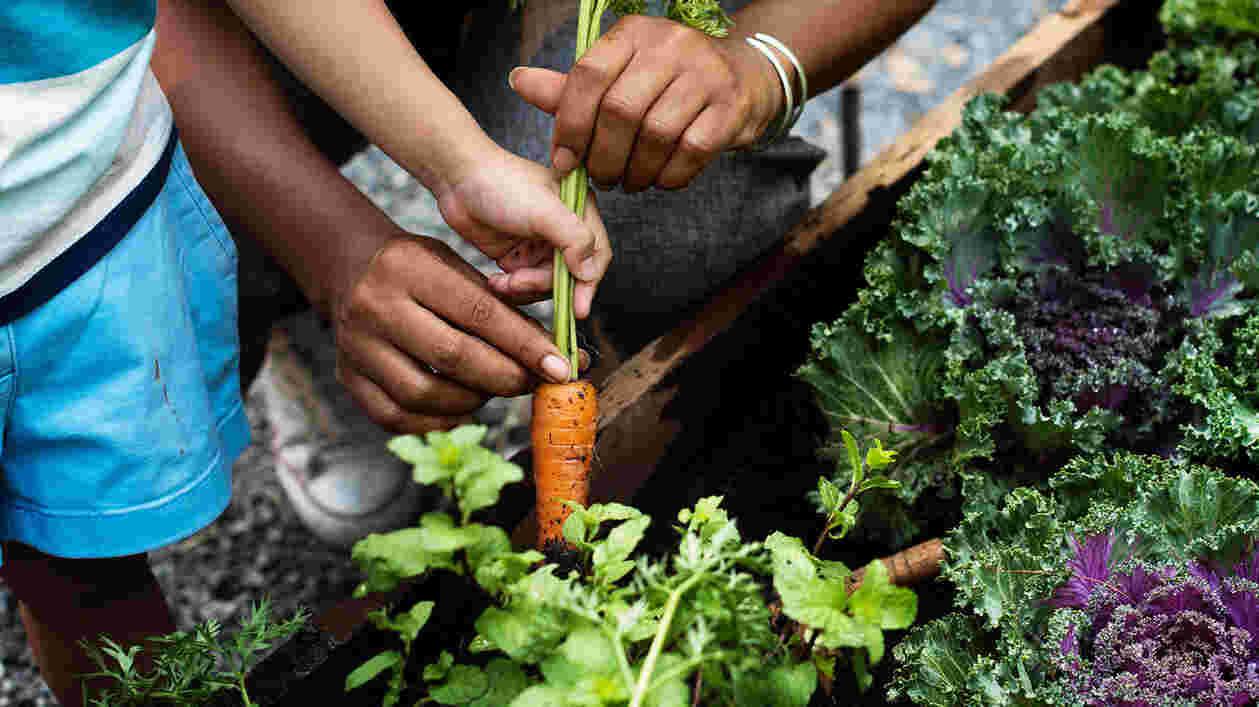 Gardening i Stock 671260026 1920x1080 Thumbnail
