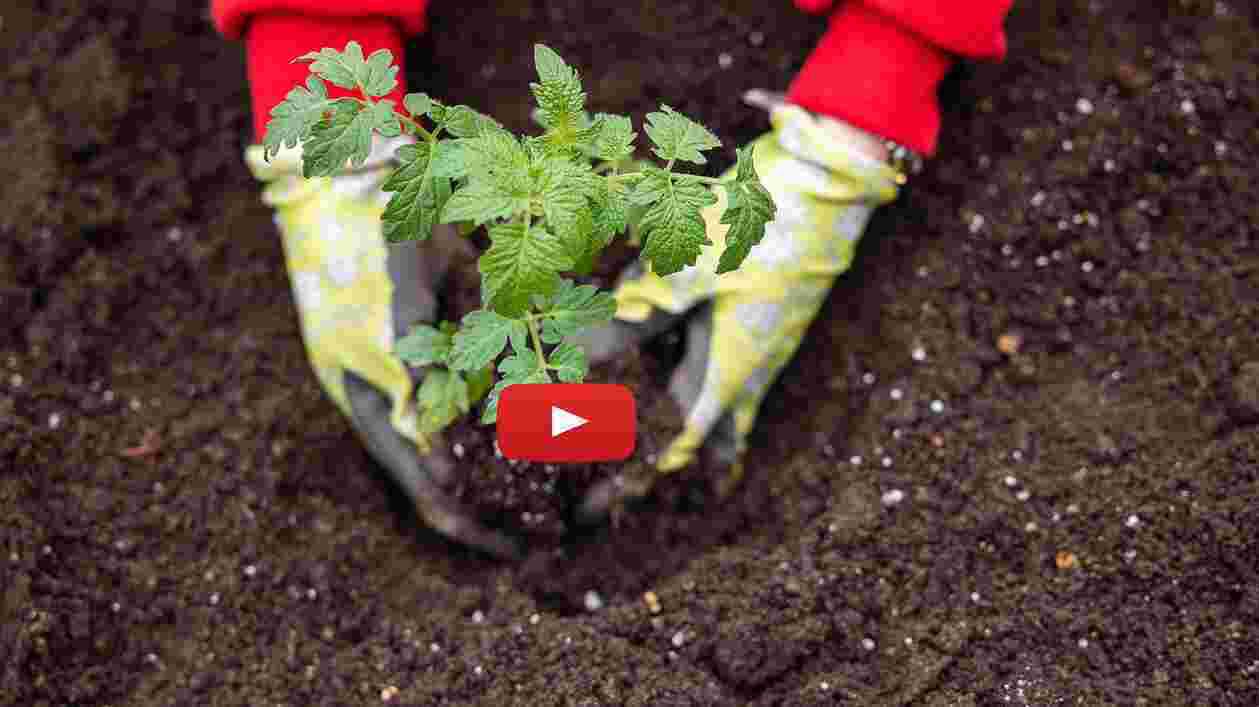Grand Challenges Global Food Water 1920x1080 Thumbnail
