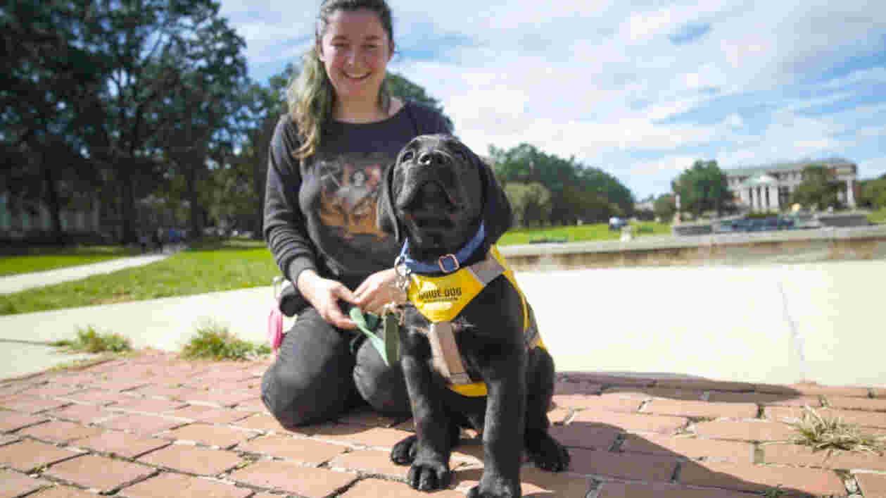 Guide Dog FINAL 00 01 44 04 Still001 Thumbnail