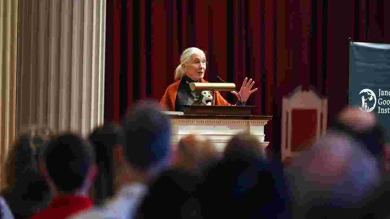 Jane Goodall Lecture 10122022 SC 3279 1920x1080 Thumbnail