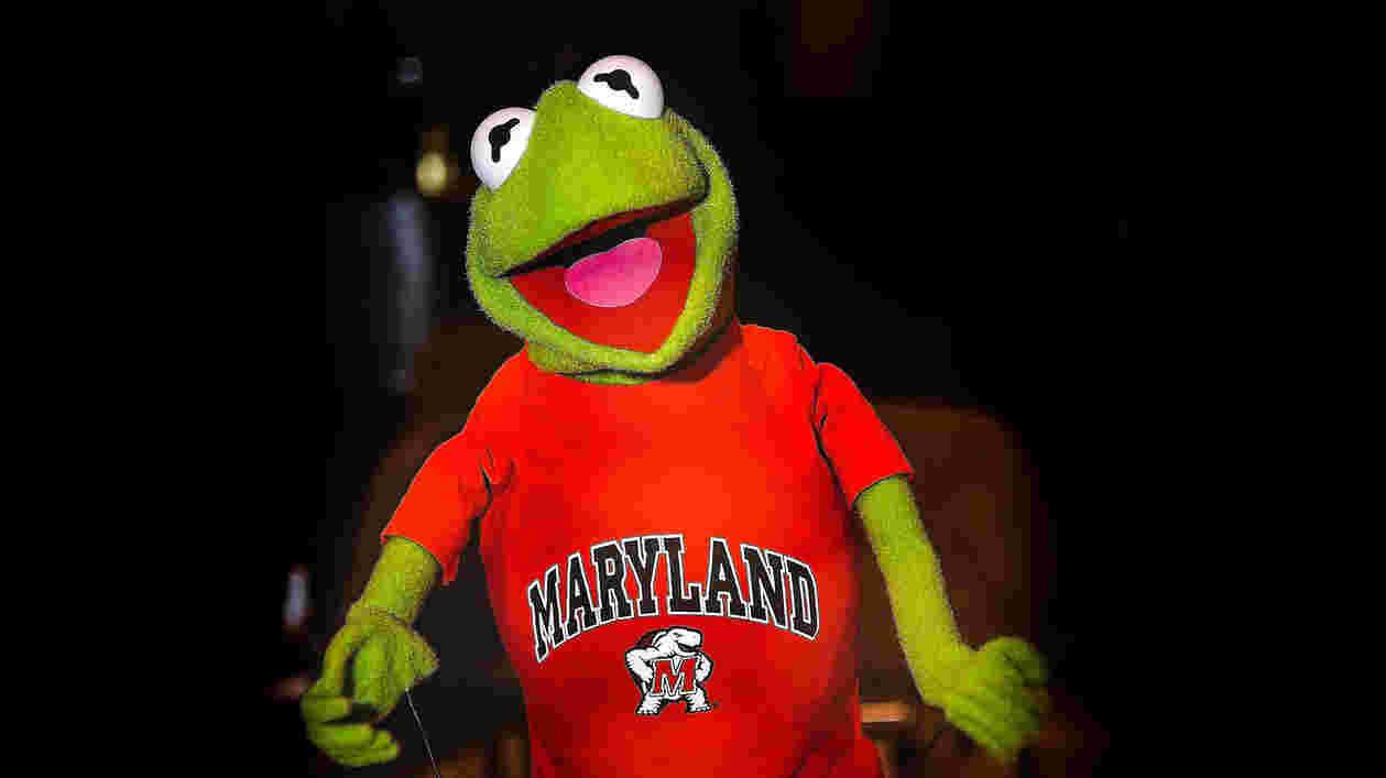 Kermit GALA06 393 1920x1080 Thumbnail