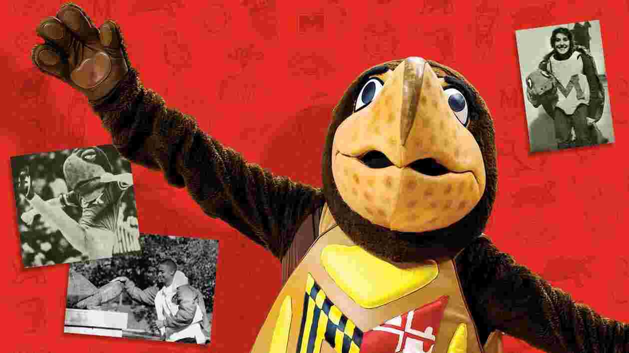 MT feature testudo 1920x1080 Thumbnail