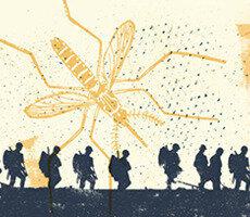 Malaria Terp Tuesday final NO BANNER 230x200 Thumbnail