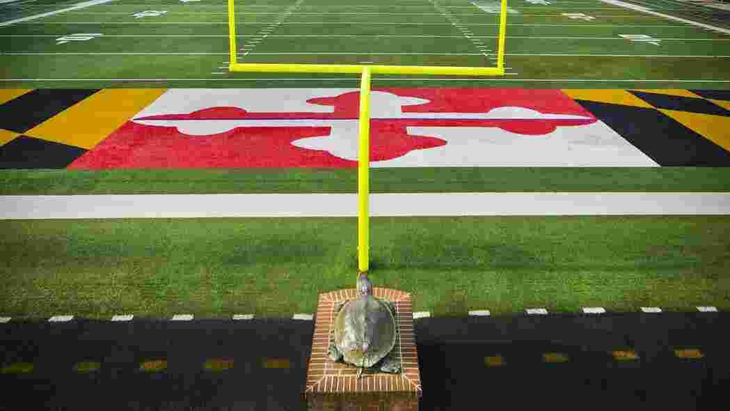 Maryland Stadium Thumbnail