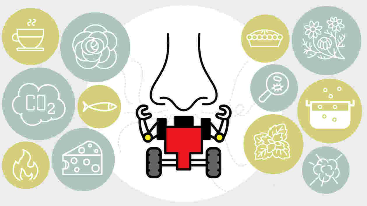 Nose bot istock 1920x1080 jpg Thumbnail