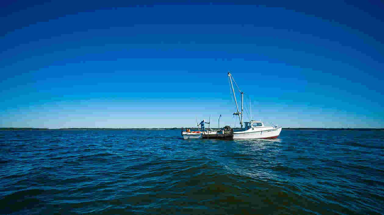 Oyster Tonging 10082010 040 1920x1080 Thumbnail