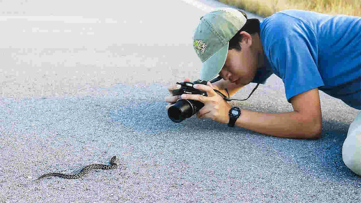 Photographing snake 1920x1080 Thumbnail