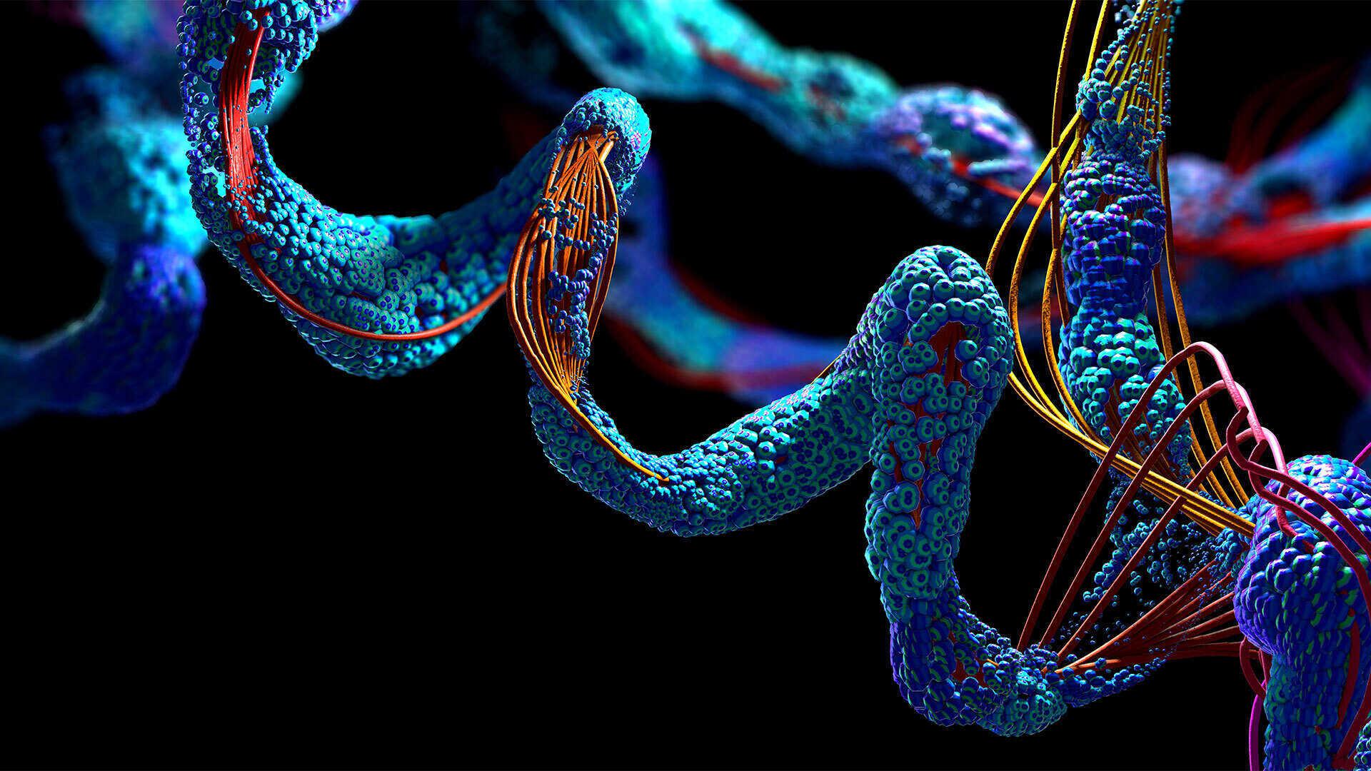 Protein Adobe Stock 349211935 1920x1080 Thumbnail