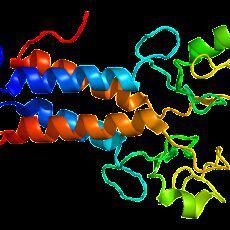 Protein BRCA1 PDB 1jm7 230x230 Thumbnail