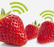 Strawberry Thumbnail 230x200 Thumbnail