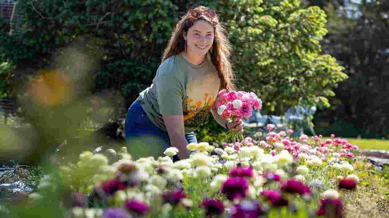 Sun Kissed Flower Farm 05012024 JC 9590 1920x1080 Thumbnail