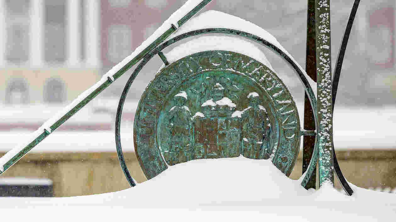Sundial Snow 01062025 SC 9617 1920x1080 Thumbnail