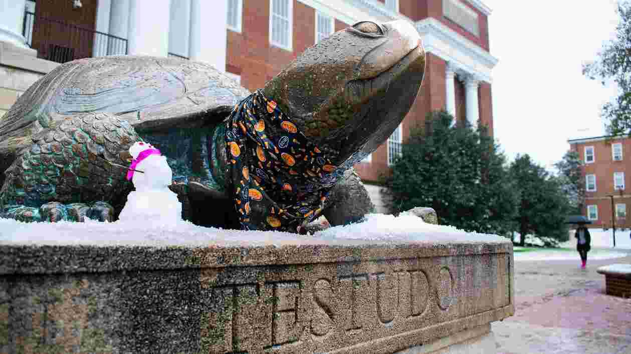 Testudo Snow TE 11152018 1920x1080 0 Thumbnail
