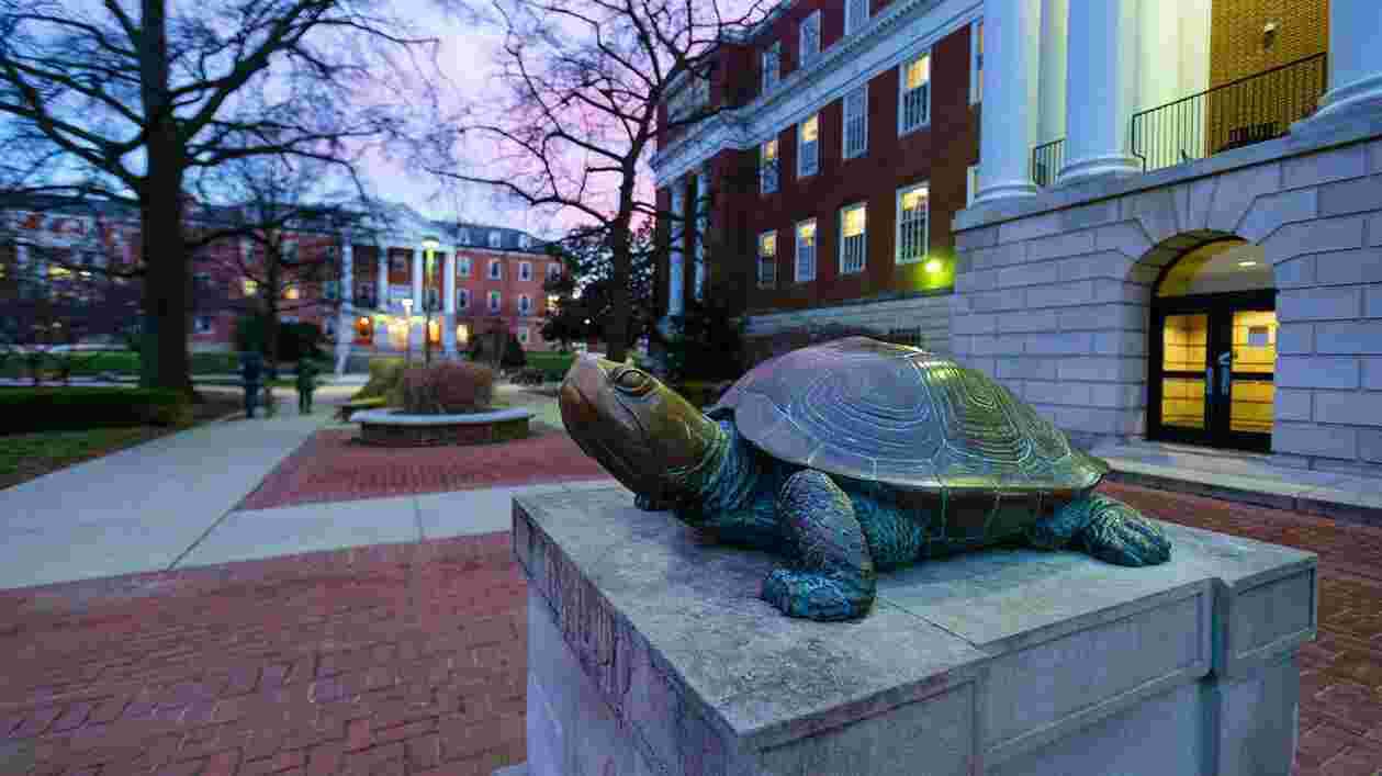 Testudo 01132016 7243 1920x1080 Thumbnail