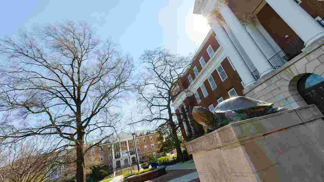 Testudo 03262020 JC 4527 1920x1080 Thumbnail