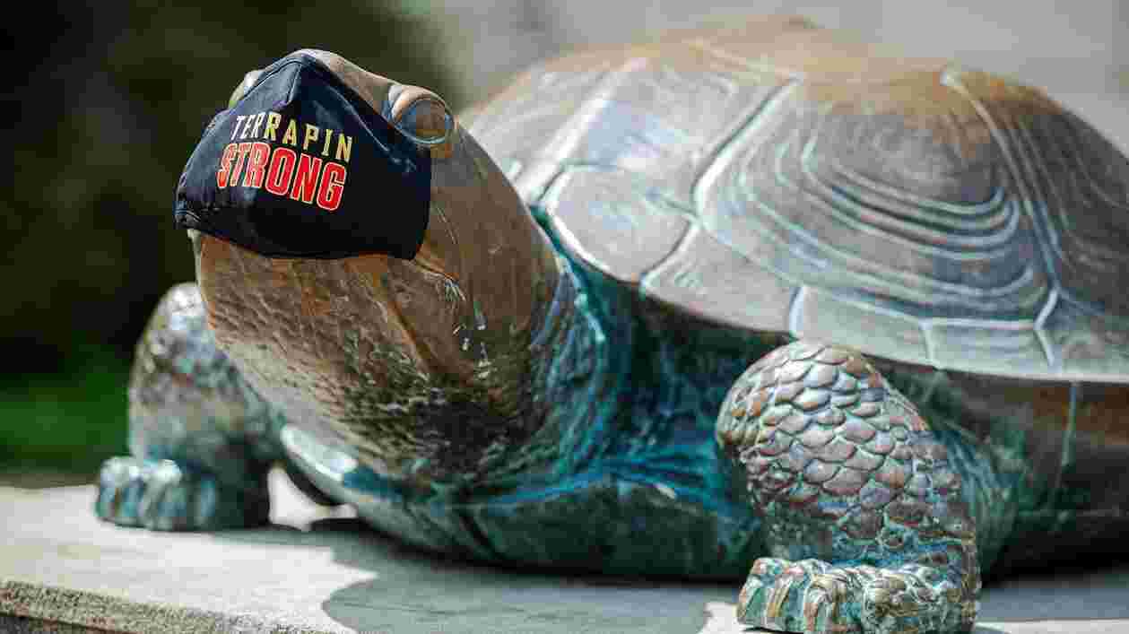 Testudo Mask 08212020 JC 7957 1920x1080 Thumbnail