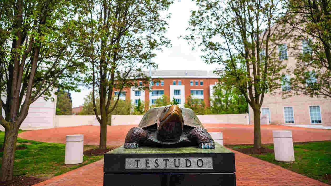 Testudo Riggs 04112024 DS 6101 DAM 1920x1080 Thumbnail